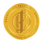 CFO FACTORY training, IMA accredited, Egypt, Middle East –Become a transformative leader in finance